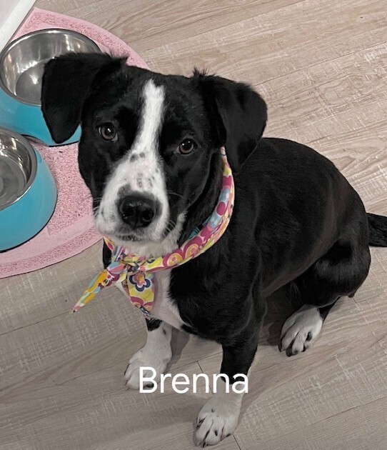 Brenna (aka Lena) photo 1