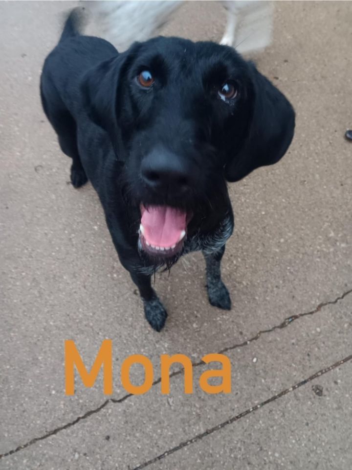 AC Mona 1