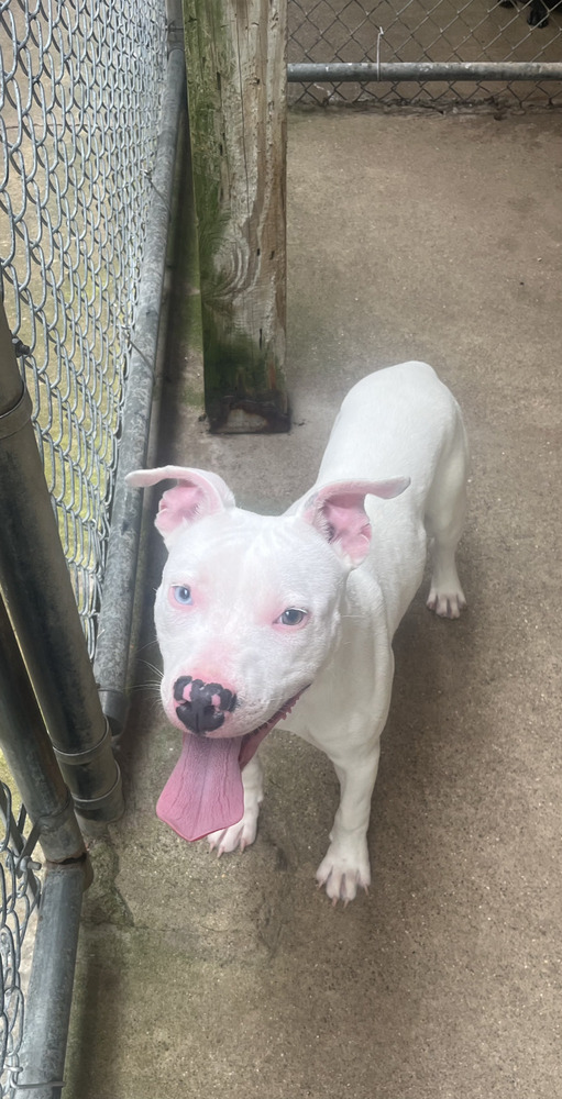 Casper