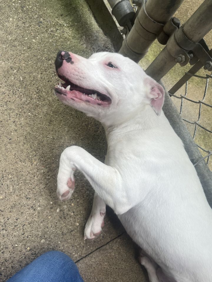 Casper 2