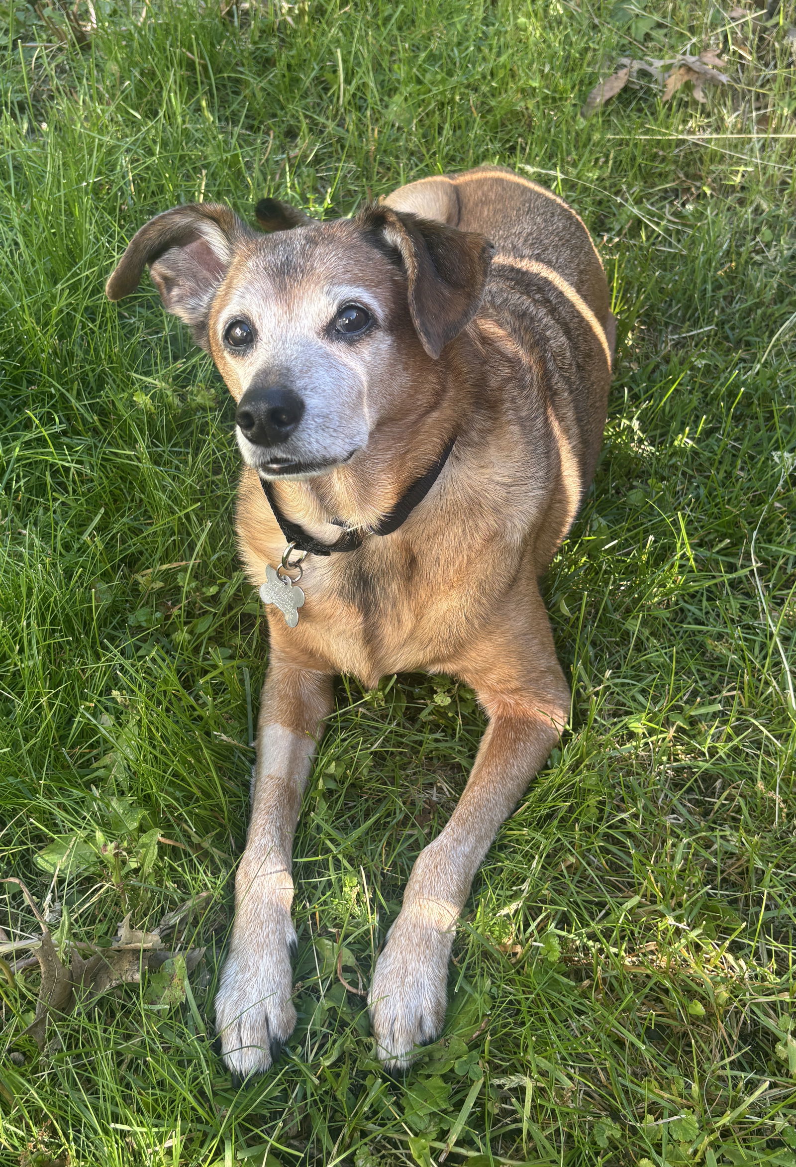 Beau