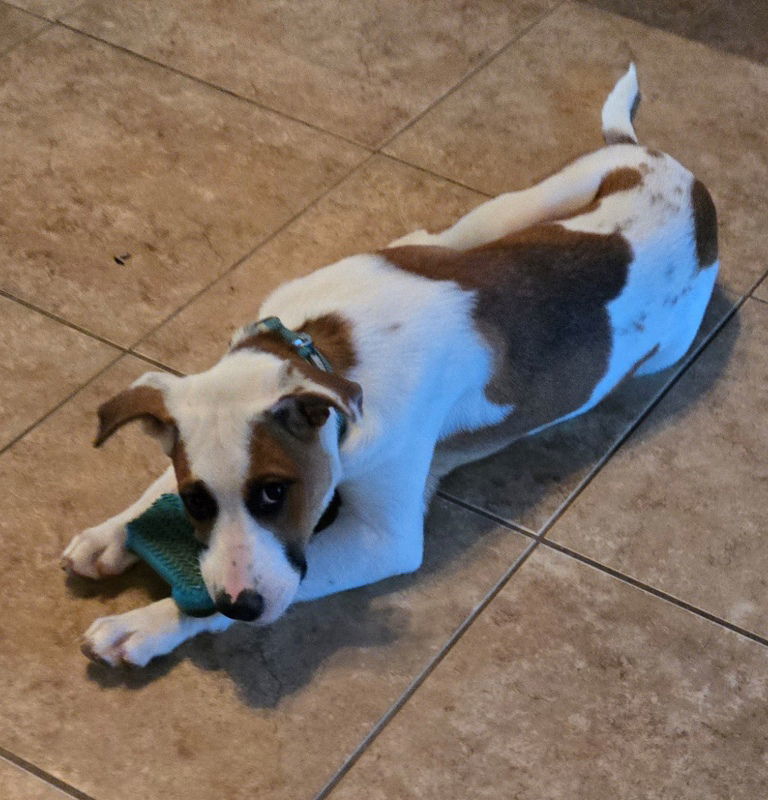 Milo