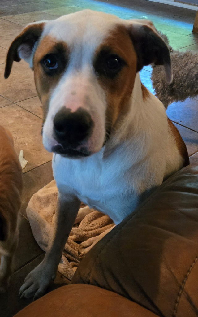 Milo