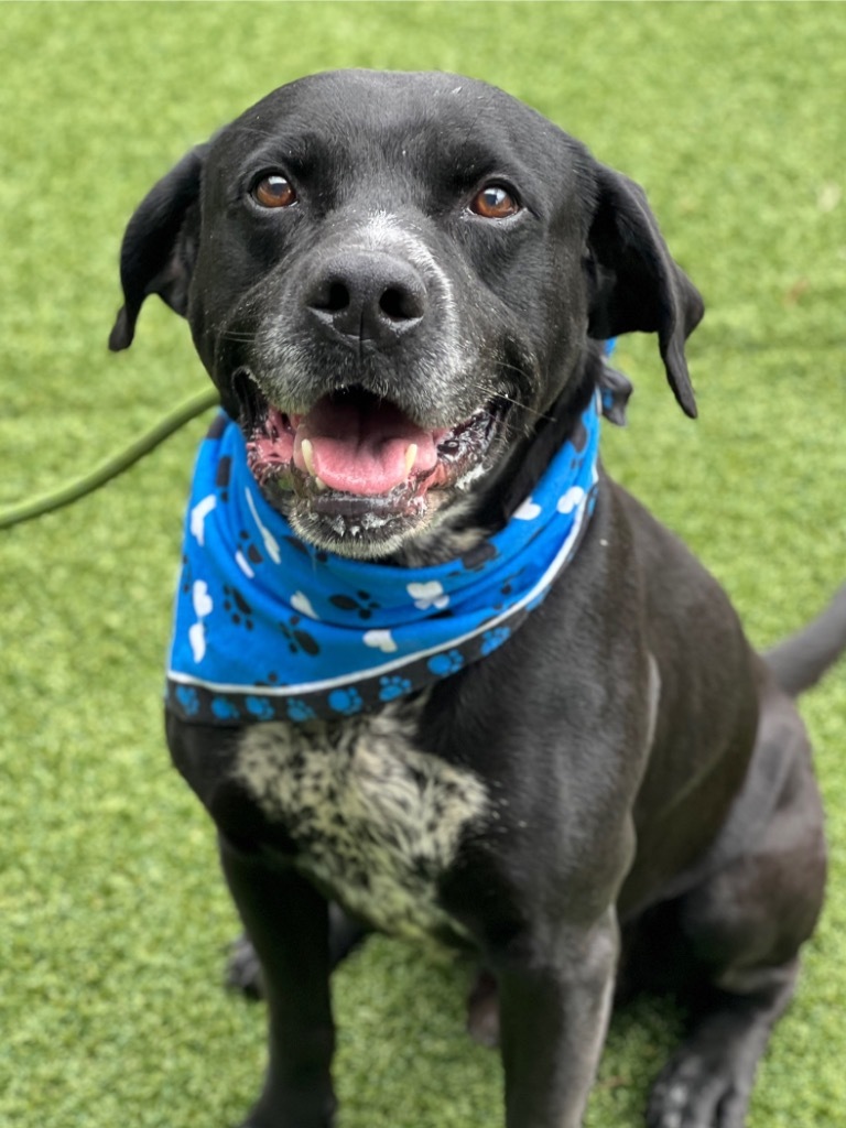 Ruger Photo