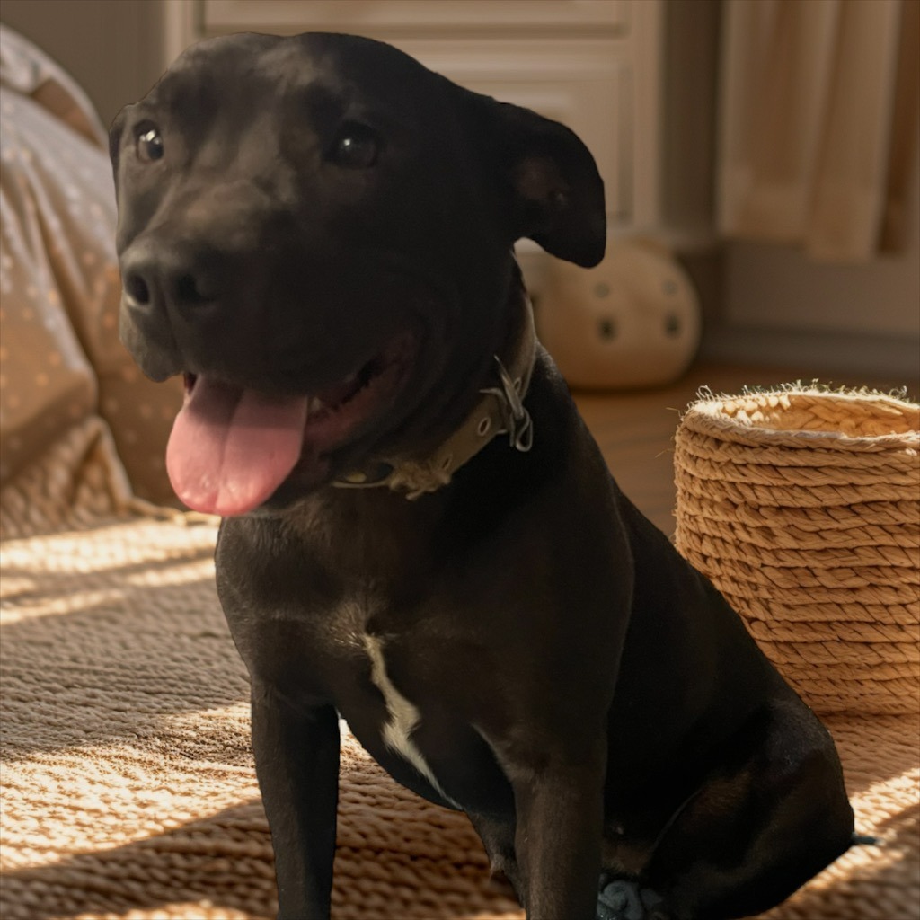 Luna