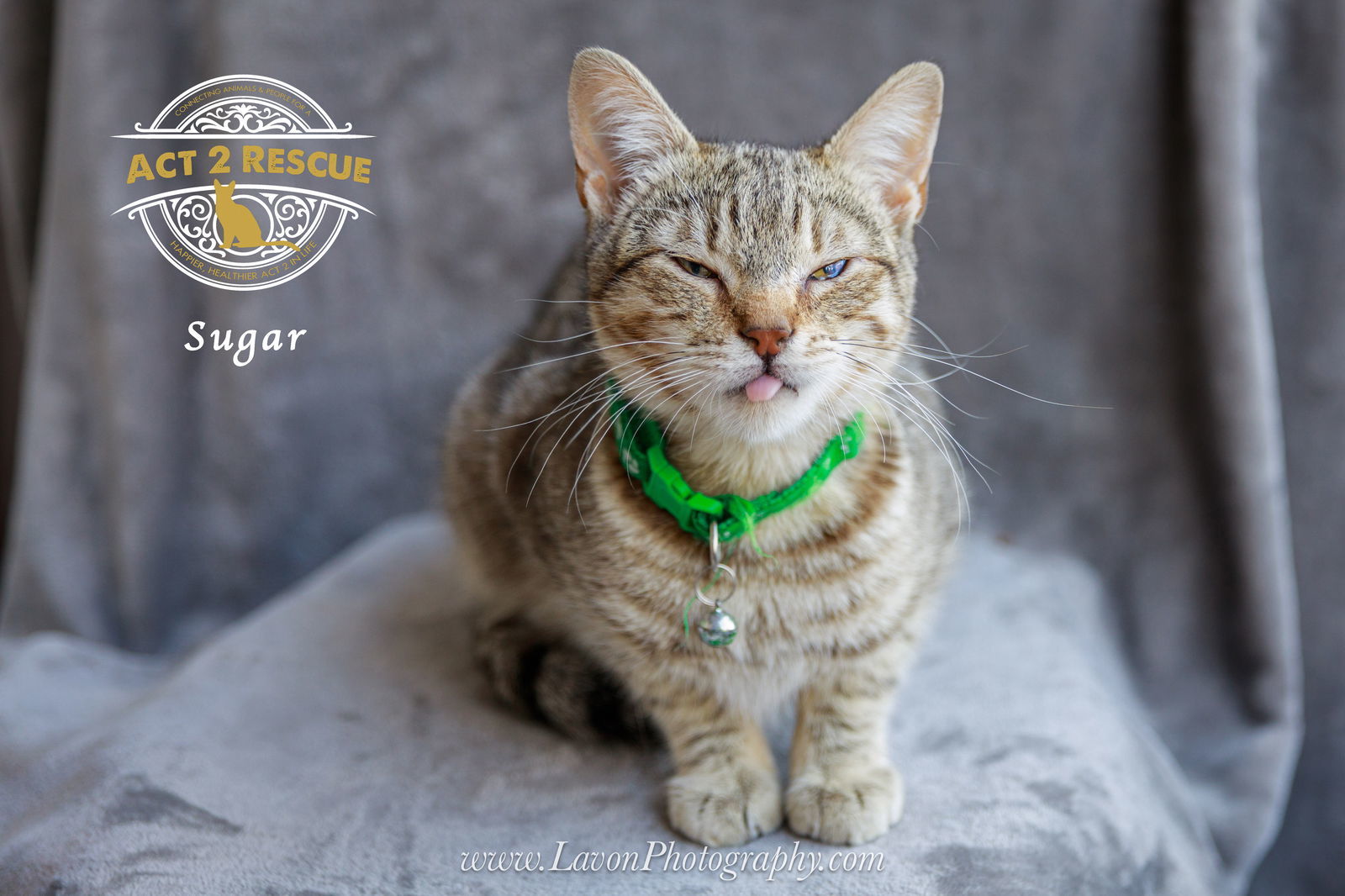 Sugar