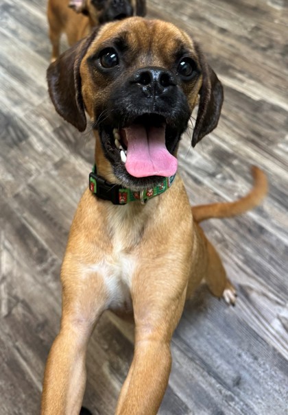 Ernie