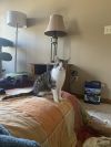 Sam photo 6