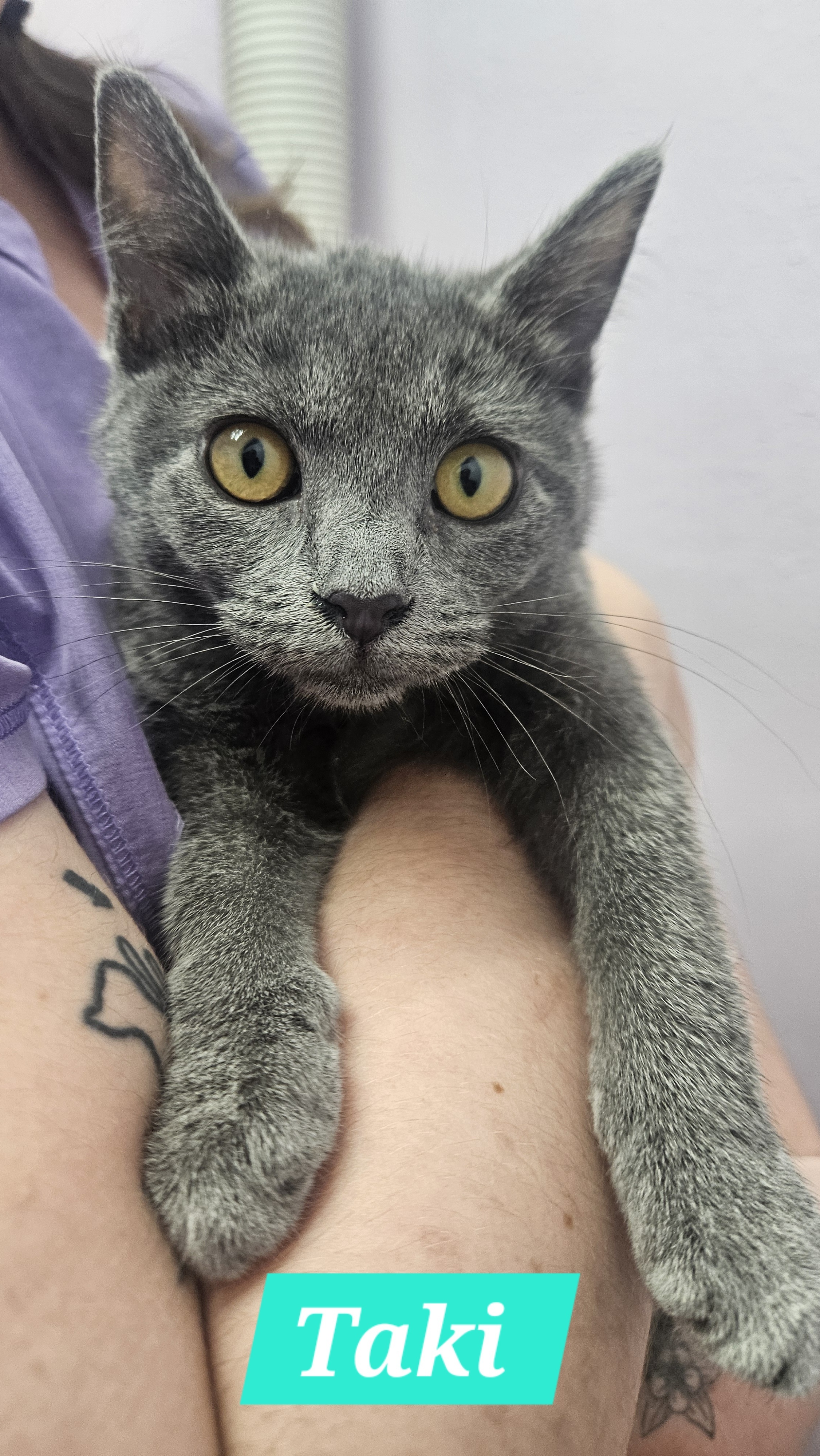 Taki