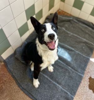 Max