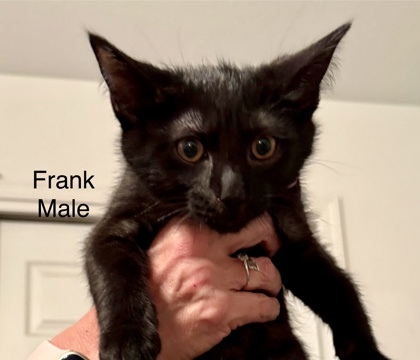 Frank