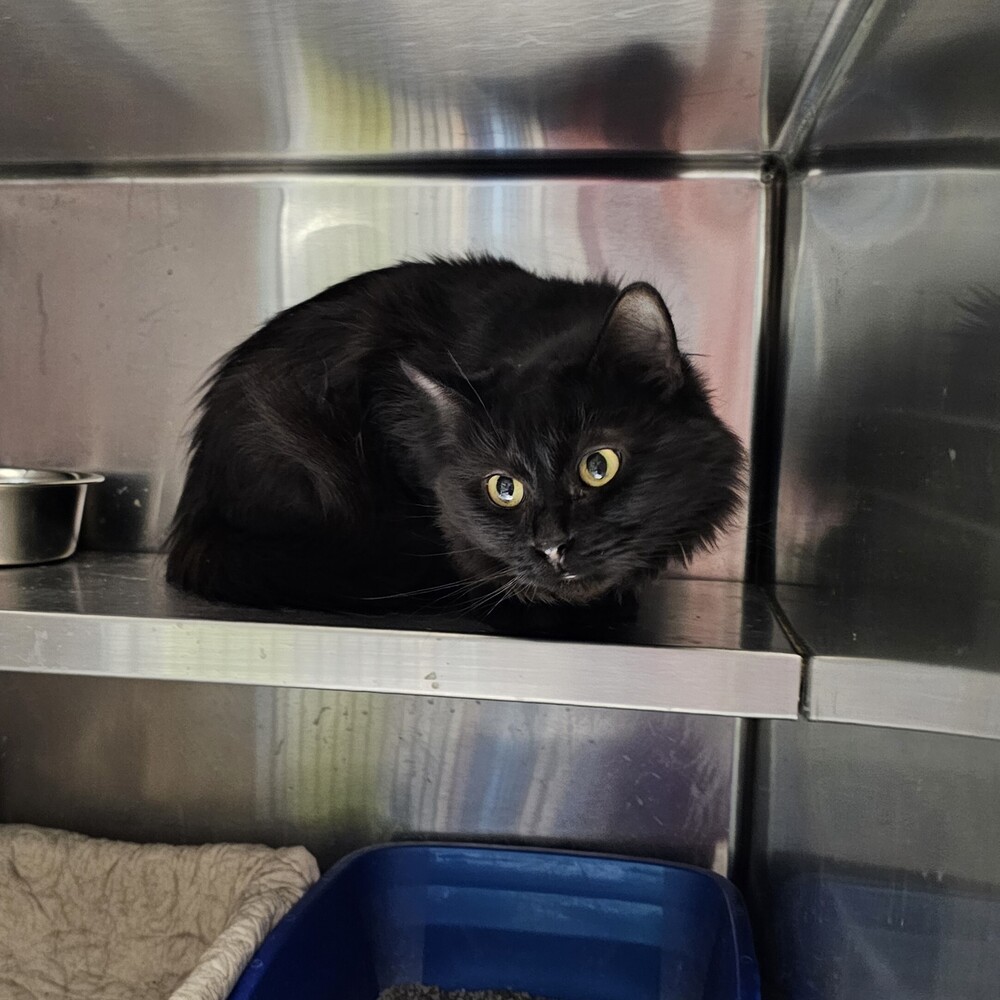 Matilda