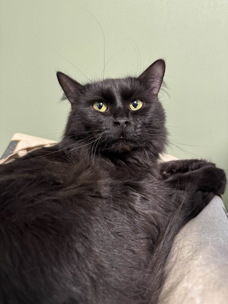 Matilda
