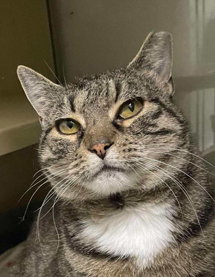 Mavis AT Petsmart Rochester