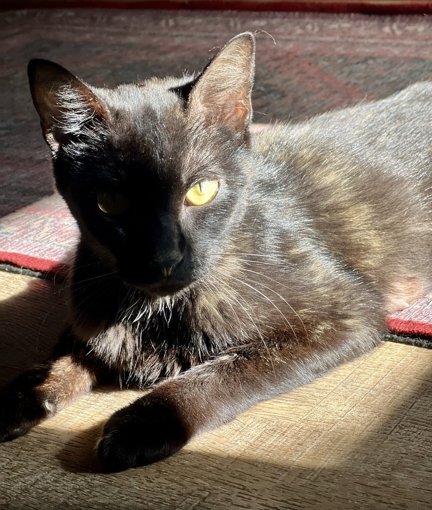 Luna