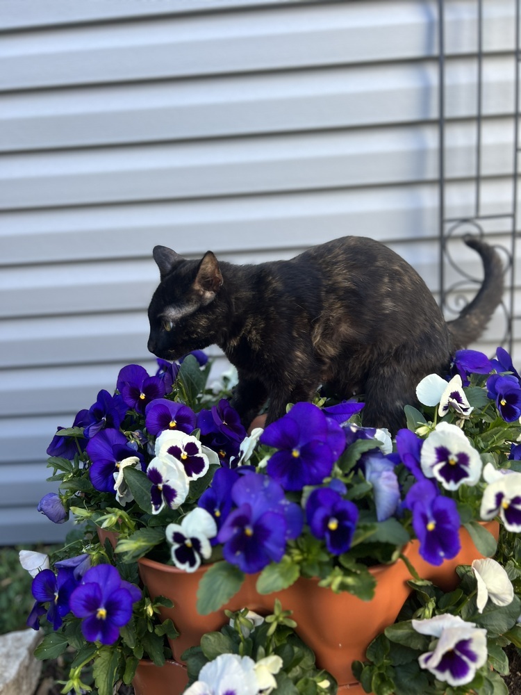 Luna