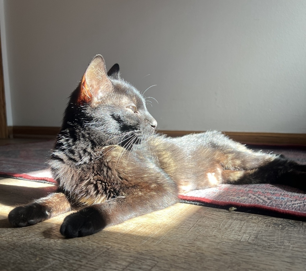 Luna