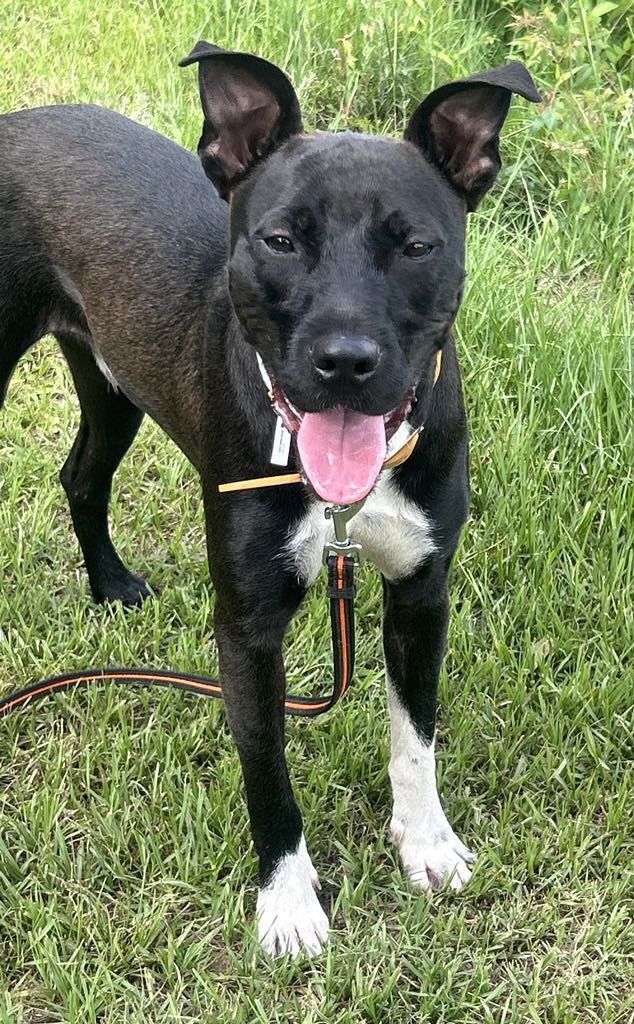Max