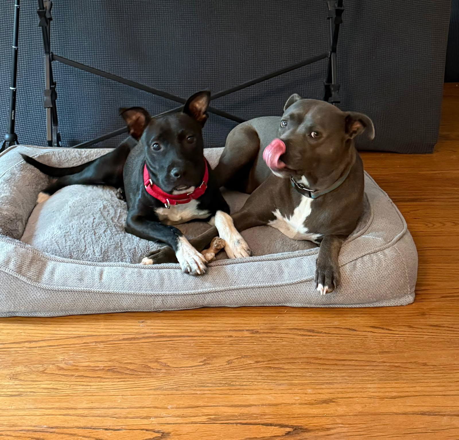 Max
