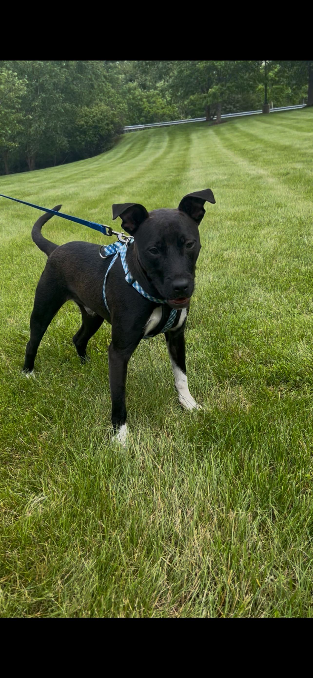 Max