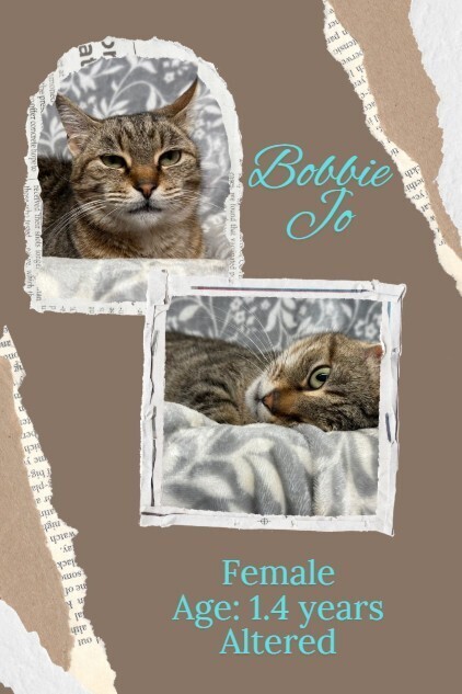 Bobbie Jo