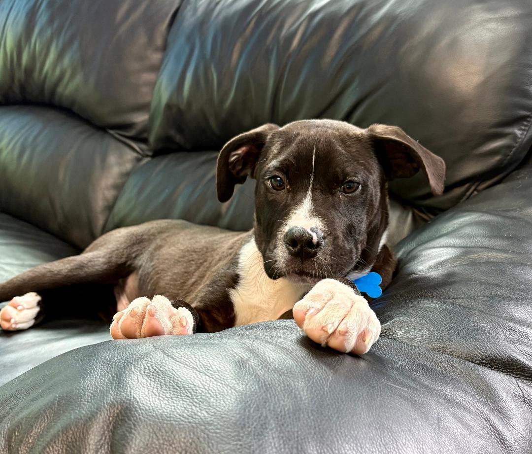Vinnie