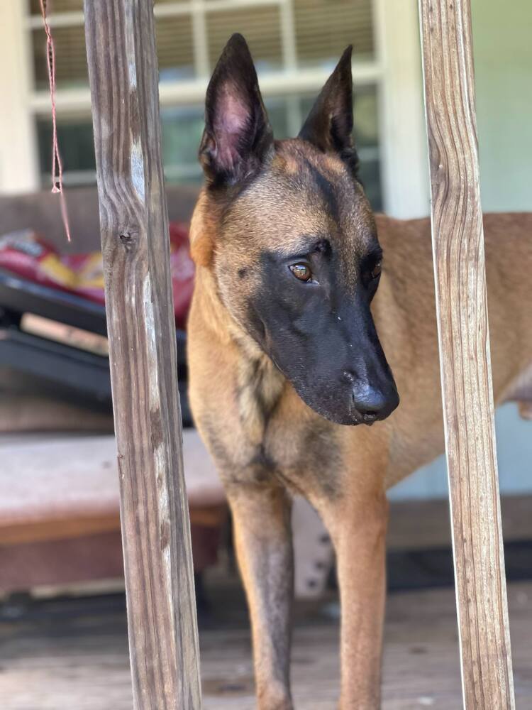Atlas - Located in TX