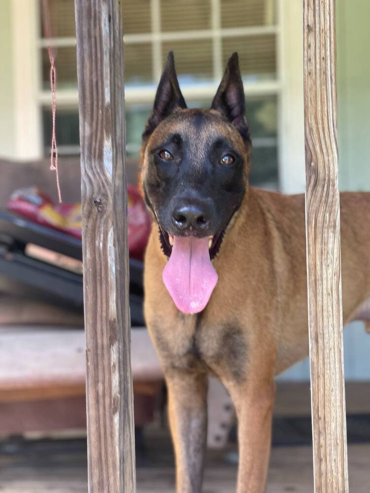 Atlas - Located in TX