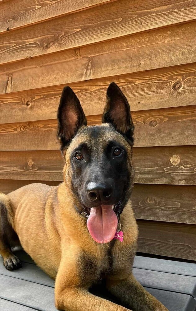 Atlas - Located in TX