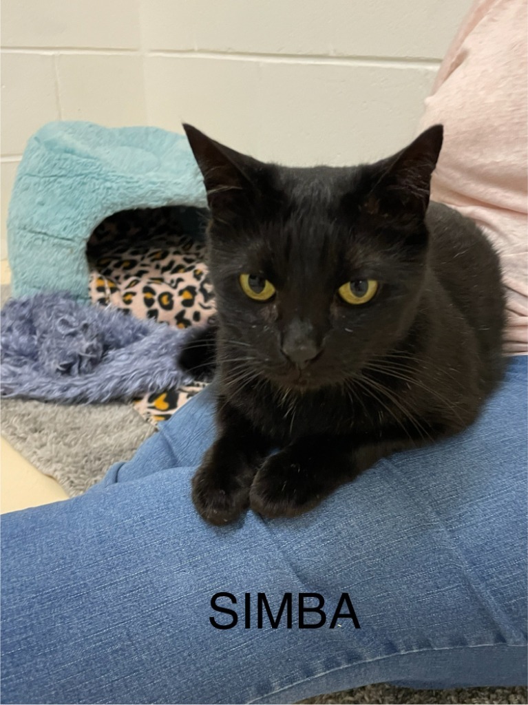 Simba