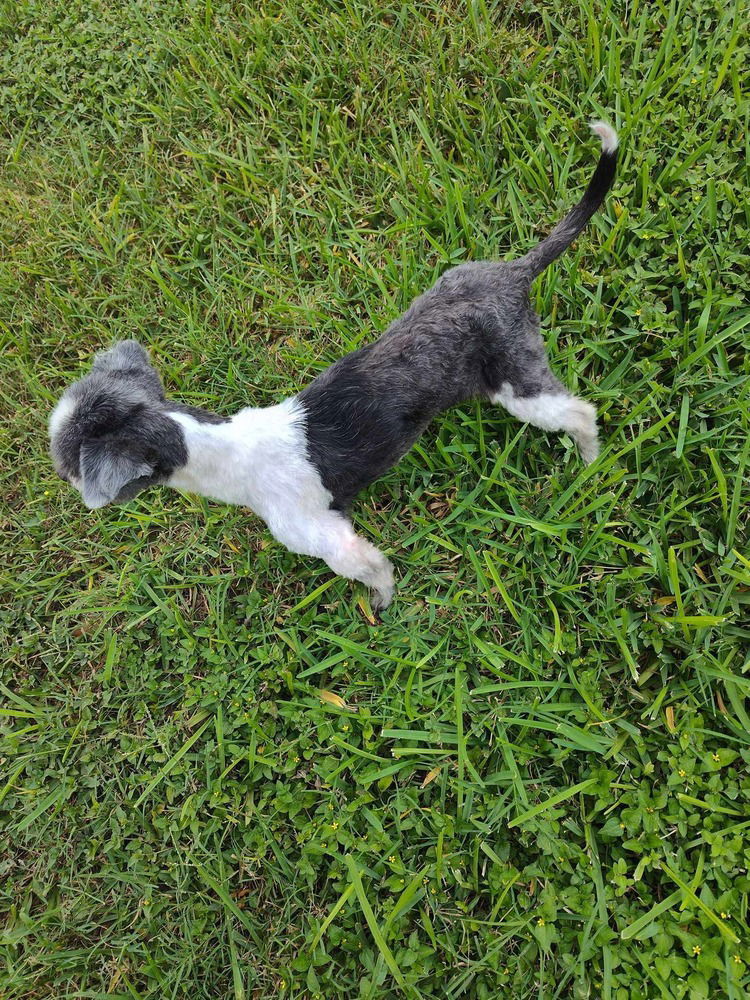 Ellie TX