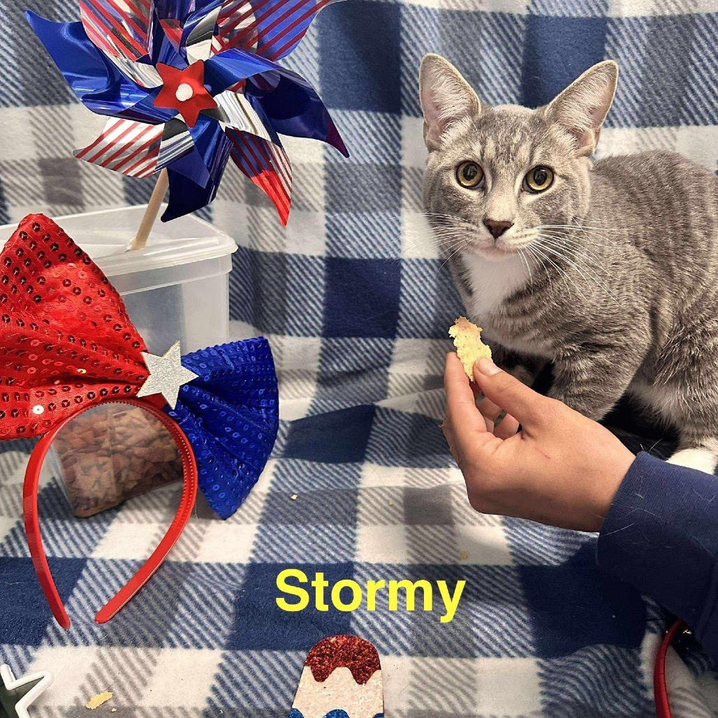 Stormy