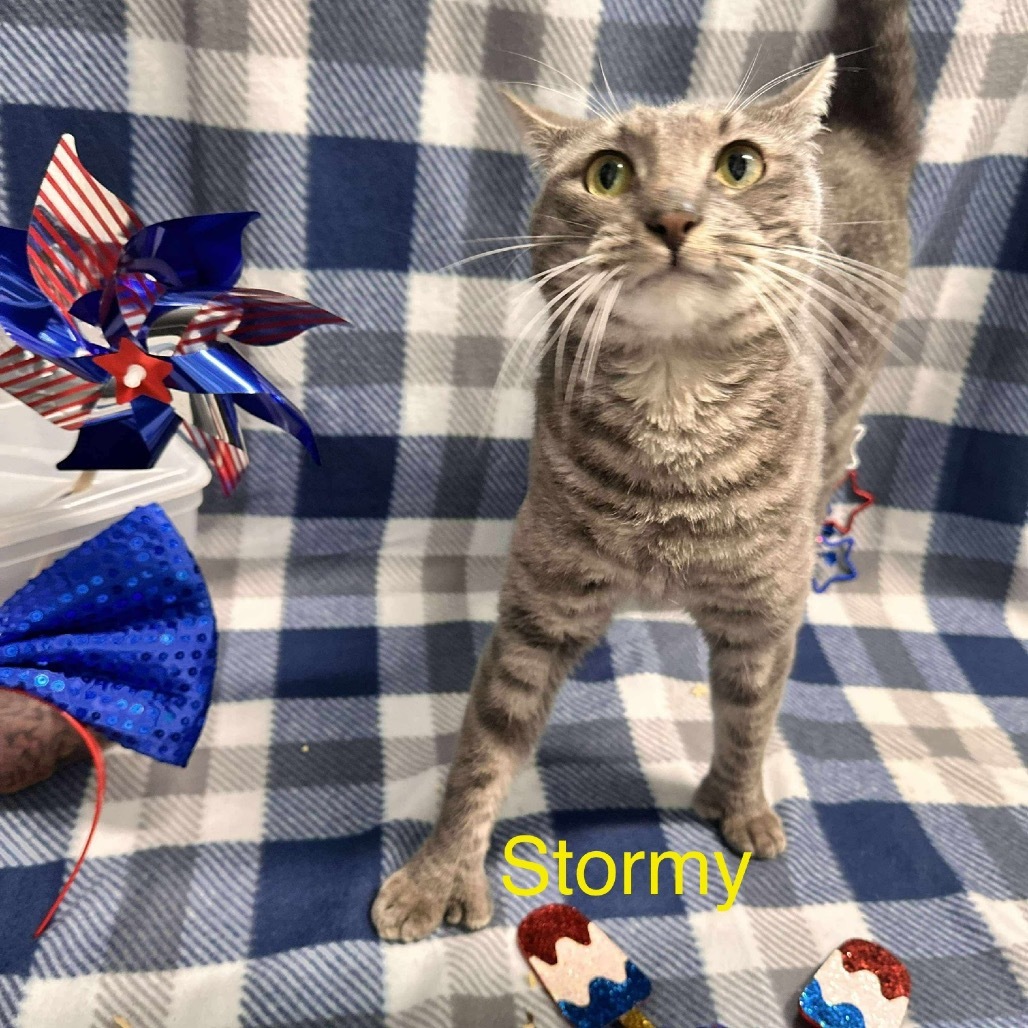 Stormy