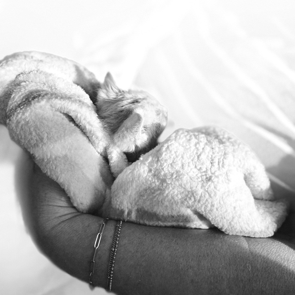 Simba