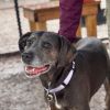Agatha photo 3