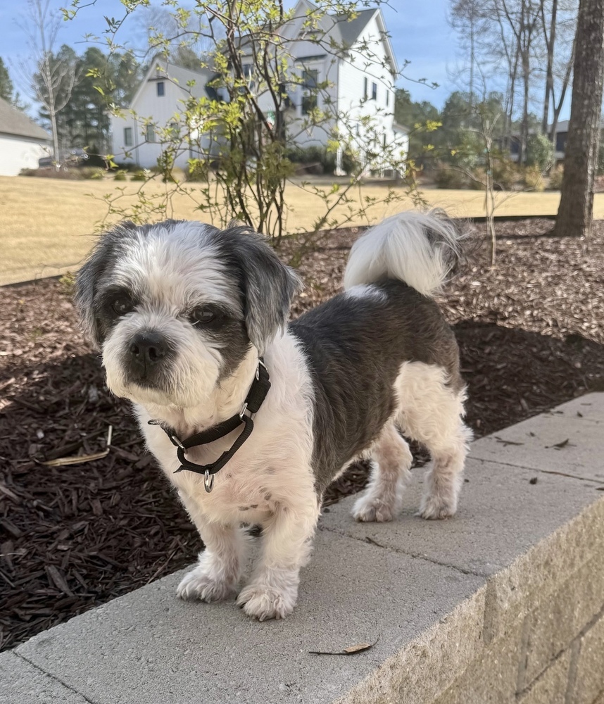 Oscar
