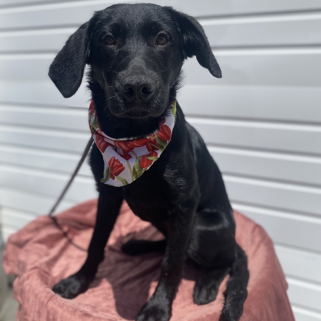 Lucy Photo