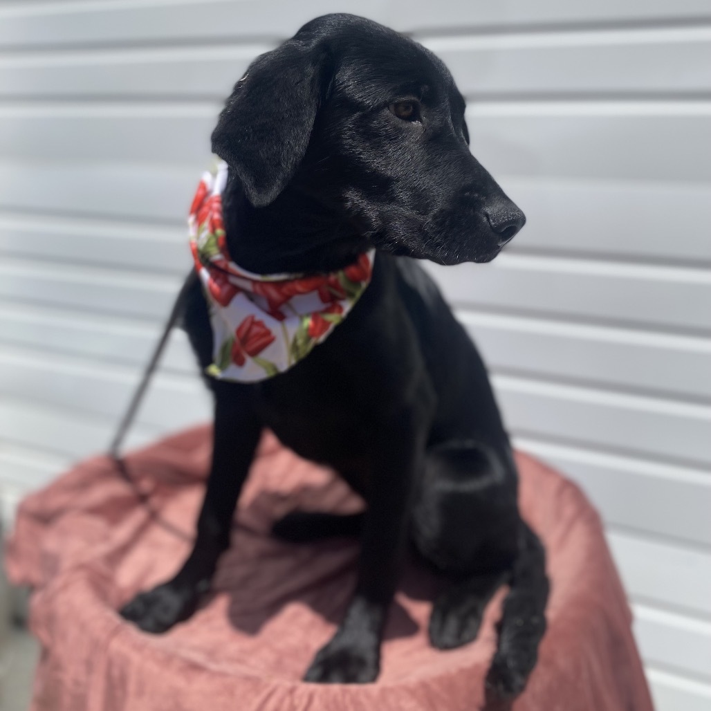 Lucy Photo