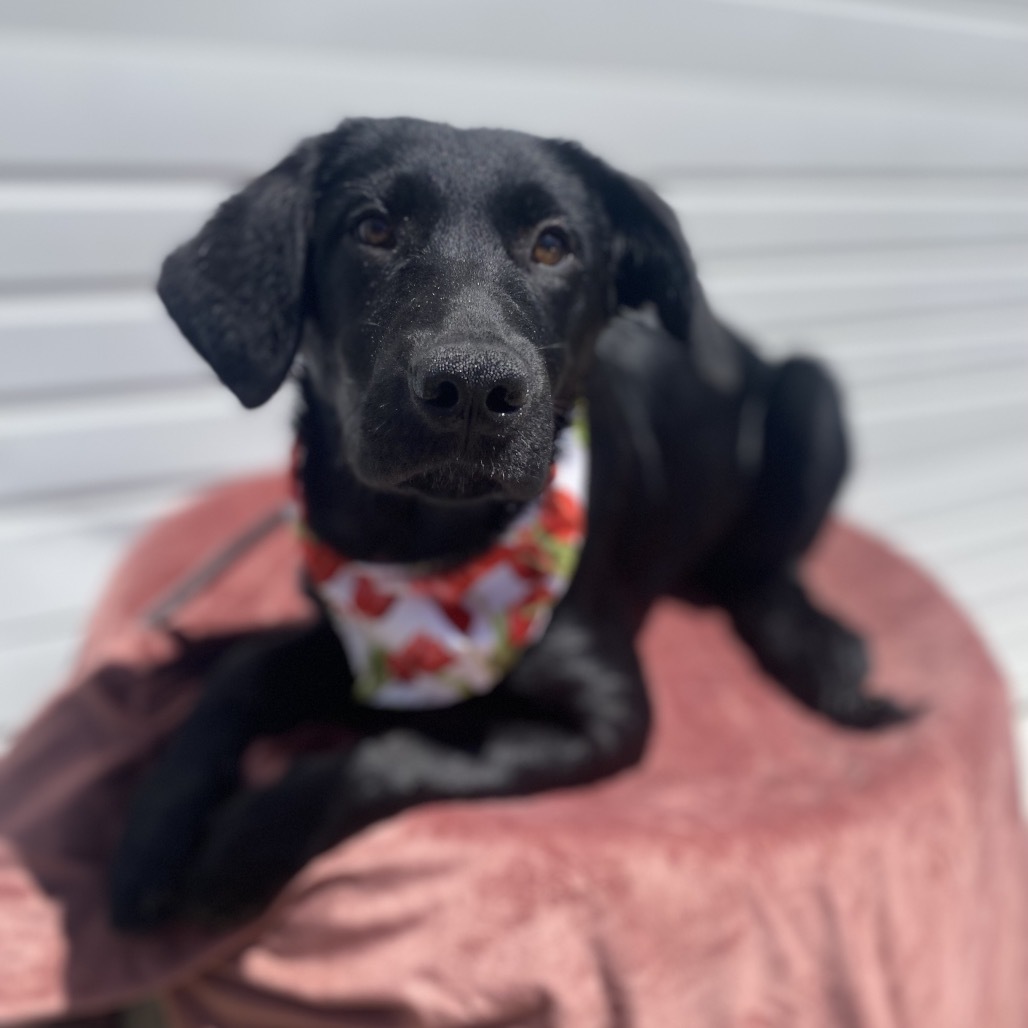 Lucy Photo