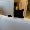 Luna photo 4