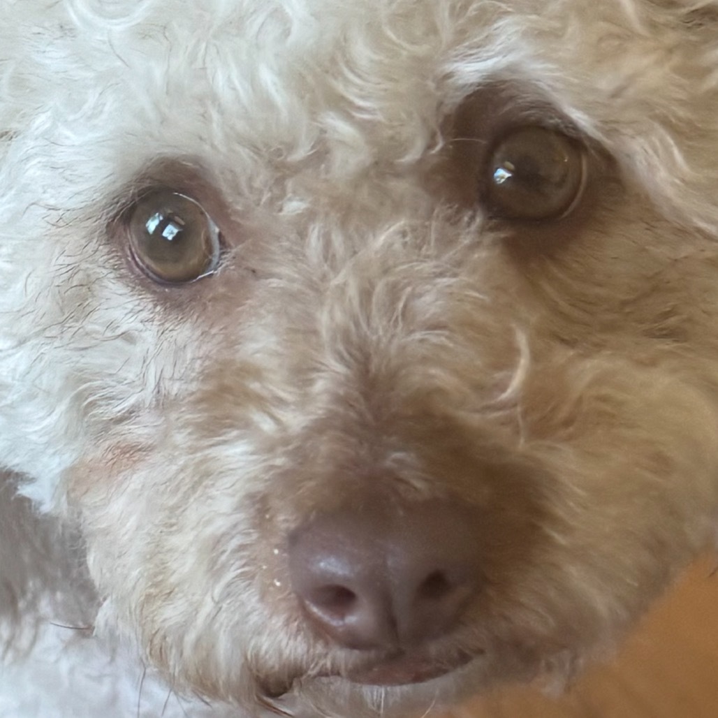 Rosie