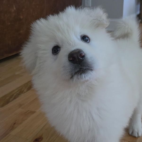 Lenny thumbnail 3