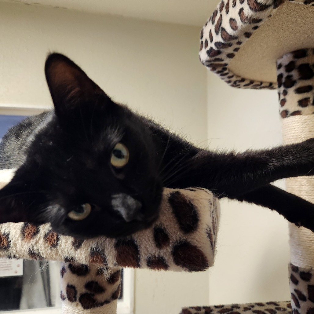 Sweetheart - Costa Mesa Location