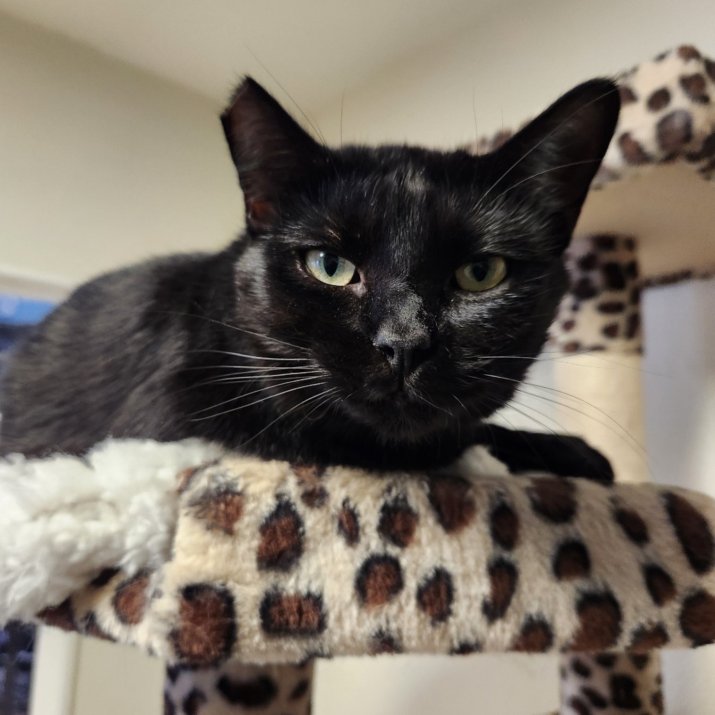 Sweetheart - Costa Mesa Location