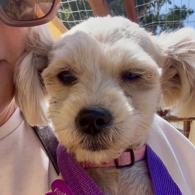 Trudy