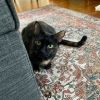 Nellie - Home to Home photo 2