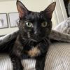 Nellie - Home to Home photo 3