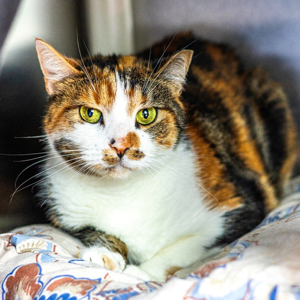Mimi
