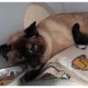 Coco photo 2