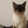 Coco photo 3